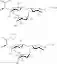 Fig. 21 - Galactopyranosyl-cyclohexyl derivatives as e-selectin antagonists