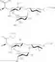 Fig. 25 - Galactopyranosyl-cyclohexyl derivatives as e-selectin antagonists