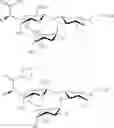 Fig. 28 - Galactopyranosyl-cyclohexyl derivatives as e-selectin antagonists
