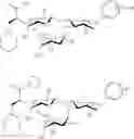 Fig. 34 - Galactopyranosyl-cyclohexyl derivatives as e-selectin antagonists