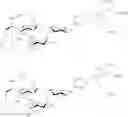 Fig. 40 - Galactopyranosyl-cyclohexyl derivatives as e-selectin antagonists