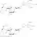 Fig. 41 - Galactopyranosyl-cyclohexyl derivatives as e-selectin antagonists