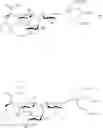Fig. 42 - Galactopyranosyl-cyclohexyl derivatives as e-selectin antagonists