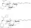 Fig. 47 - Galactopyranosyl-cyclohexyl derivatives as e-selectin antagonists