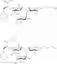 Fig. 51 - Galactopyranosyl-cyclohexyl derivatives as e-selectin antagonists