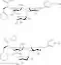 Fig. 58 - Galactopyranosyl-cyclohexyl derivatives as e-selectin antagonists