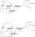 Fig. 64 - Galactopyranosyl-cyclohexyl derivatives as e-selectin antagonists