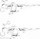 Fig. 69 - Galactopyranosyl-cyclohexyl derivatives as e-selectin antagonists