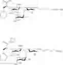 Fig. 71 - Galactopyranosyl-cyclohexyl derivatives as e-selectin antagonists