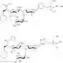 Fig. 75 - Galactopyranosyl-cyclohexyl derivatives as e-selectin antagonists