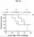 Fig. 05 - COMPOSITIONS AND METHODS FOR TREATING, AMELIORATING, AND/OR PREVENTING VIRAL INFECTIONS