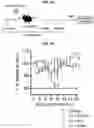 Fig. 06 - COMPOSITIONS AND METHODS FOR TREATING, AMELIORATING, AND/OR PREVENTING VIRAL INFECTIONS