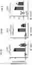 Fig. 10 - COMPOSITIONS AND METHODS FOR TREATING, AMELIORATING, AND/OR PREVENTING VIRAL INFECTIONS