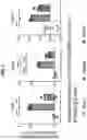 Fig. 12 - COMPOSITIONS AND METHODS FOR TREATING, AMELIORATING, AND/OR PREVENTING VIRAL INFECTIONS