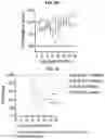 Fig. 14 - COMPOSITIONS AND METHODS FOR TREATING, AMELIORATING, AND/OR PREVENTING VIRAL INFECTIONS