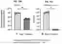 Fig. 20 - COMPOSITIONS AND METHODS FOR TREATING, AMELIORATING, AND/OR PREVENTING VIRAL INFECTIONS