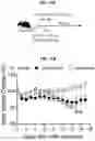 Fig. 21 - COMPOSITIONS AND METHODS FOR TREATING, AMELIORATING, AND/OR PREVENTING VIRAL INFECTIONS