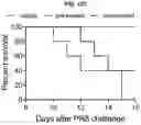 Fig. 22 - COMPOSITIONS AND METHODS FOR TREATING, AMELIORATING, AND/OR PREVENTING VIRAL INFECTIONS