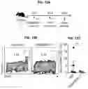 Fig. 23 - COMPOSITIONS AND METHODS FOR TREATING, AMELIORATING, AND/OR PREVENTING VIRAL INFECTIONS