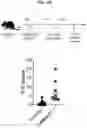 Fig. 25 - COMPOSITIONS AND METHODS FOR TREATING, AMELIORATING, AND/OR PREVENTING VIRAL INFECTIONS