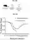 Fig. 28 - COMPOSITIONS AND METHODS FOR TREATING, AMELIORATING, AND/OR PREVENTING VIRAL INFECTIONS