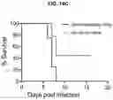 Fig. 29 - COMPOSITIONS AND METHODS FOR TREATING, AMELIORATING, AND/OR PREVENTING VIRAL INFECTIONS
