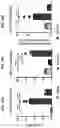 Fig. 33 - COMPOSITIONS AND METHODS FOR TREATING, AMELIORATING, AND/OR PREVENTING VIRAL INFECTIONS