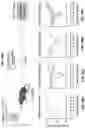 Fig. 41 - COMPOSITIONS AND METHODS FOR TREATING, AMELIORATING, AND/OR PREVENTING VIRAL INFECTIONS