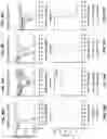 Fig. 42 - COMPOSITIONS AND METHODS FOR TREATING, AMELIORATING, AND/OR PREVENTING VIRAL INFECTIONS