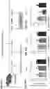 Fig. 43 - COMPOSITIONS AND METHODS FOR TREATING, AMELIORATING, AND/OR PREVENTING VIRAL INFECTIONS