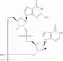 Fig. 247 - STABLE FORMULATIONS OF CYCLIC DINUCLEOTIDE STING AGONIST COMPOUNDS AND METHODS OF USE THEREOF