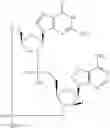 Fig. 329 - STABLE FORMULATIONS OF CYCLIC DINUCLEOTIDE STING AGONIST COMPOUNDS AND METHODS OF USE THEREOF