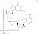 Fig. 447 - STABLE FORMULATIONS OF CYCLIC DINUCLEOTIDE STING AGONIST COMPOUNDS AND METHODS OF USE THEREOF
