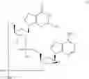 Fig. 448 - STABLE FORMULATIONS OF CYCLIC DINUCLEOTIDE STING AGONIST COMPOUNDS AND METHODS OF USE THEREOF