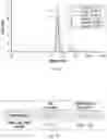 Fig. 03 - POLYMER NANOPARTICLE AND DNA NANOSTRUCTURE COMPOSITIONS AND METHODS FOR NON-VIRAL DELIVERY