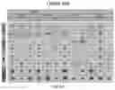 Fig. 15 - POLYMER NANOPARTICLE AND DNA NANOSTRUCTURE COMPOSITIONS AND METHODS FOR NON-VIRAL DELIVERY