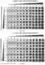 Fig. 17 - POLYMER NANOPARTICLE AND DNA NANOSTRUCTURE COMPOSITIONS AND METHODS FOR NON-VIRAL DELIVERY