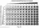 Fig. 18 - POLYMER NANOPARTICLE AND DNA NANOSTRUCTURE COMPOSITIONS AND METHODS FOR NON-VIRAL DELIVERY