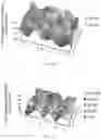 Fig. 19 - POLYMER NANOPARTICLE AND DNA NANOSTRUCTURE COMPOSITIONS AND METHODS FOR NON-VIRAL DELIVERY