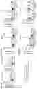 Fig. 16 - AIM2 INHIBITORS AND USES THEREOF