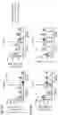 Fig. 20 - AIM2 INHIBITORS AND USES THEREOF