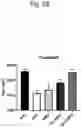 Fig. 30 - Pharmaceutical Composition for Treating Muscle Disease