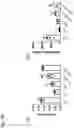 Fig. 31 - Pharmaceutical Composition for Treating Muscle Disease