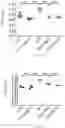 Fig. 10 - METHODS FOR IMPROVING ANTI-OXIDATION AND PREVENTING/TREATING DISEASES USING HYPO-ACYLATED LIPOPOLYSACCHARIDE