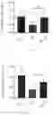 Fig. 20 - METHODS FOR IMPROVING ANTI-OXIDATION AND PREVENTING/TREATING DISEASES USING HYPO-ACYLATED LIPOPOLYSACCHARIDE