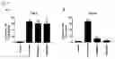 Fig. 07 - Sulfonated polystyrene derivative for use in the treatment and/or prophylaxis of cat flu