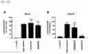 Fig. 14 - Sulfonated polystyrene derivative for use in the treatment and/or prophylaxis of cat flu