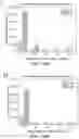 Fig. 27 - Biosynthesis of Selenium Nanoparticles Having Antimicrobial Activity