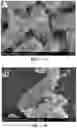 Fig. 28 - Biosynthesis of Selenium Nanoparticles Having Antimicrobial Activity