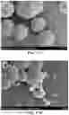 Fig. 29 - Biosynthesis of Selenium Nanoparticles Having Antimicrobial Activity